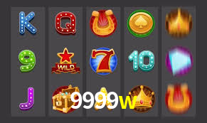 Premium Interface 9999w